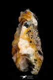 21682 - Top Beautiful Orange Barite and Cerussite over Galena Mibladen Morocco