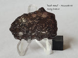 "NWA 13102" - Mesosiderite 13.34g Endcut