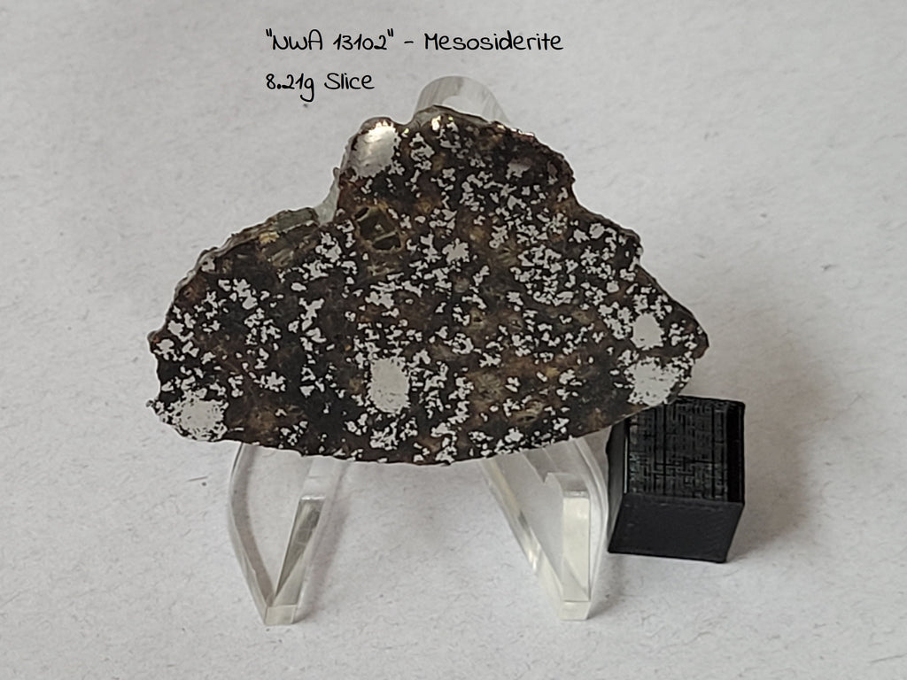 "NWA 13102" - Mesosiderite 8.21g Slice