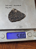 "NWA 13102" - Mesosiderite Slice 5.80g