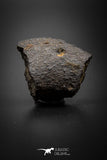 08058 - Unclassified NWA 28.1g Chondrite Partial Meteorite