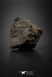 08058 - Unclassified NWA 28.1g Chondrite Partial Meteorite