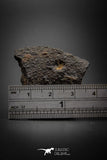 08058 - Unclassified NWA 28.1g Chondrite Partial Meteorite