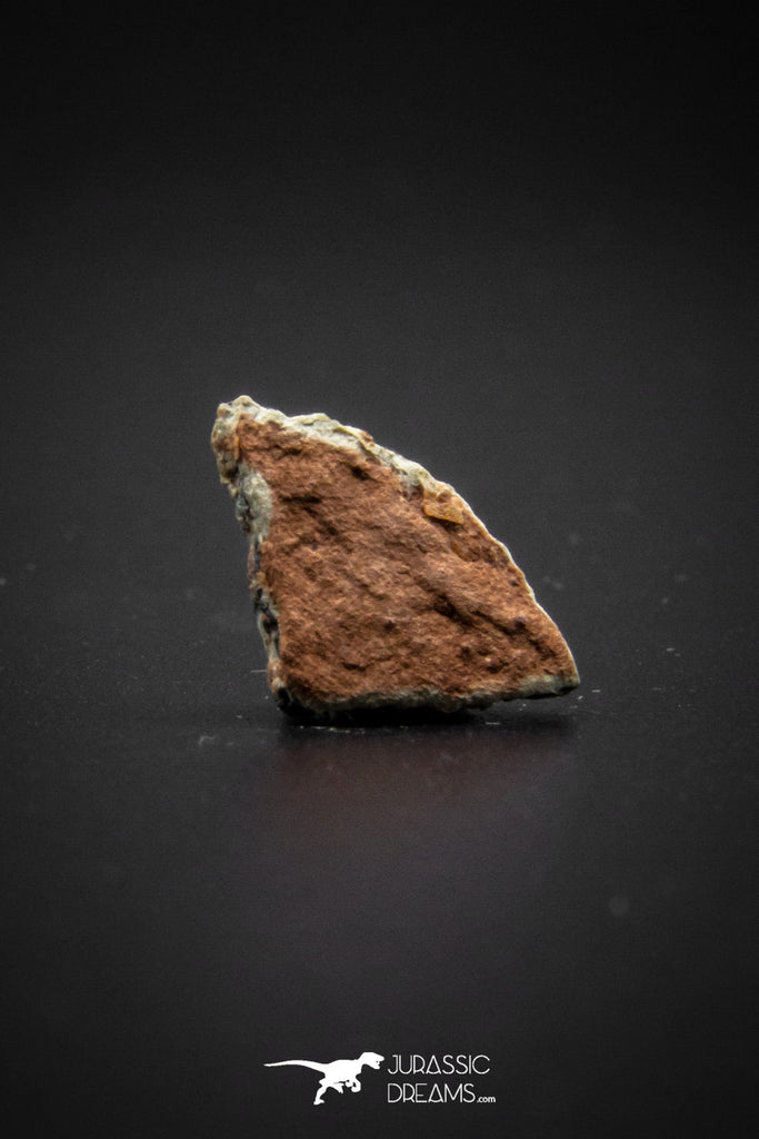 04037 - Nicely Preserved 0.66 Inch Hadrosaurus Egg Shell Henan (China) Qiupa Fm