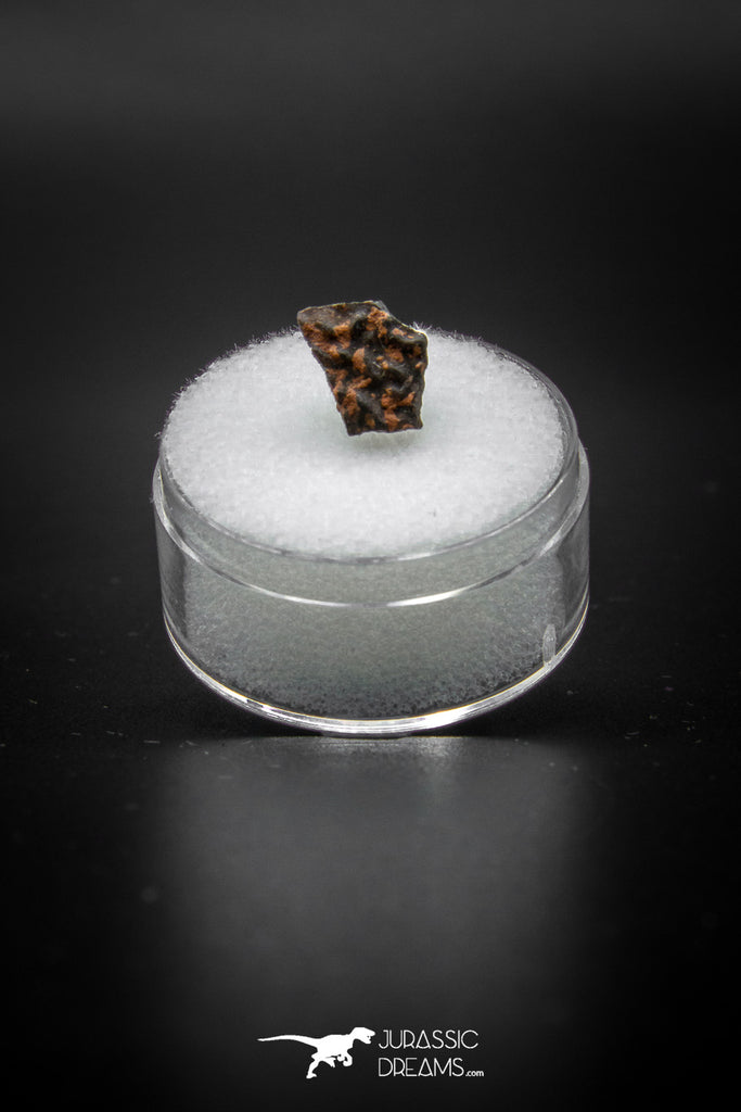 04071 - Nicely Preserved 0.44 Inch Oviraptor Egg Shell Gobi Desert Djadokhta Formation Mongolia