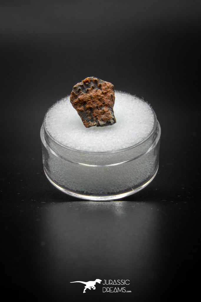 04072 - Nicely Preserved 0.55 Inch Oviraptor Egg Shell Gobi Desert Djadokhta Formation Mongolia