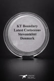04116 - K/T Boundary Latest Cretaceous Stevensklint Denmark Dinosaur Extinction Stratigraphical Level