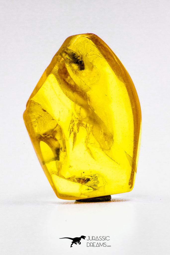 04275 - Well Preserved 0.65 Inch Baltic Amber With An Inclusion Of Fossil Insect (Diptera- Dolichopodidae Fly)