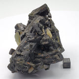 SWJ0002 - Premium Grade PREHNITE with EPIDOTE specimen from MALI