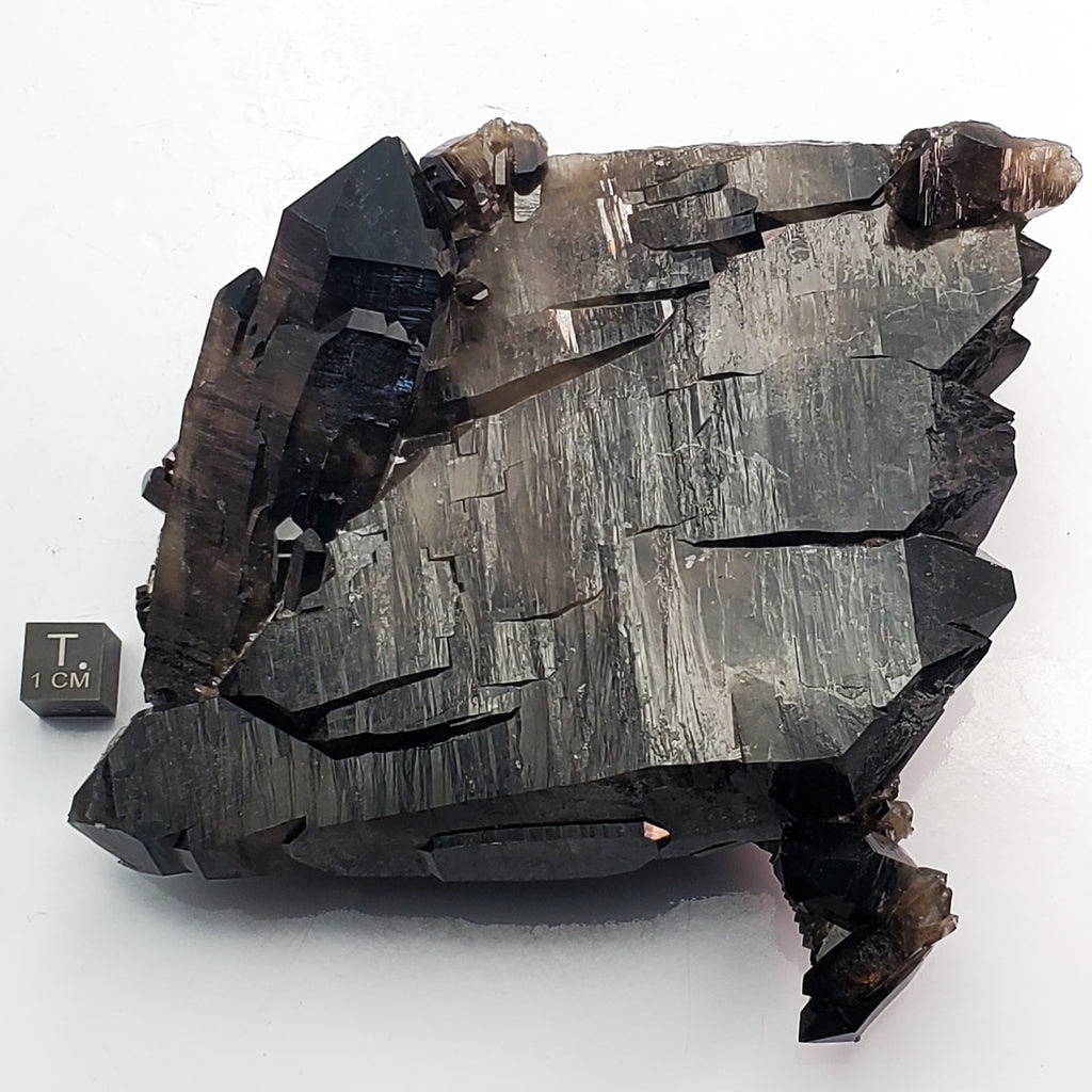 SWJ0125 - Top Huge Smokey Quartz Crystal Cluster from classical Arkansas (USA) location