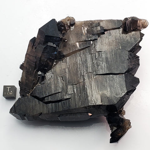SWJ0125 - Top Huge Smokey Quartz Crystal Cluster from classical Arkansas (USA) location