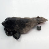 SWJ0126 - Premium Grade Smokey Quartz Crystal Cluster from classical Arkansas (USA) location