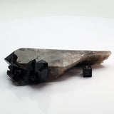 SWJ0126 - Premium Grade Smokey Quartz Crystal Cluster from classical Arkansas (USA) location