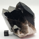 SWJ0127 - Top Huge Smokey Quartz Crystal Cluster from classical Arkansas (USA) location