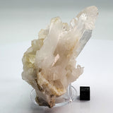 SWJ0128 - Premium Grade Clear Quartz Crystal Cluster from classical Arkansas (USA) location