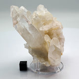 SWJ0128 - Premium Grade Clear Quartz Crystal Cluster from classical Arkansas (USA) location