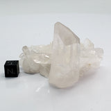 SWJ0129 - Premium Grade Clear Quartz Crystal Cluster from classical Arkansas (USA) location