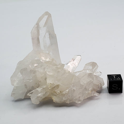 SWJ0129 - Premium Grade Clear Quartz Crystal Cluster from classical Arkansas (USA) location