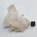 SWJ0129 - Premium Grade Clear Quartz Crystal Cluster from classical Arkansas (USA) location
