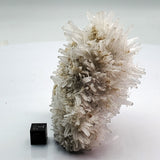 SWJ0130 - Finest Grade Clear Quartz Crystal Cluster from classical Bulgarian location