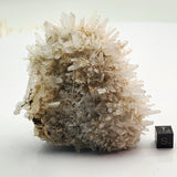 SWJ0130 - Finest Grade Clear Quartz Crystal Cluster from classical Bulgarian location