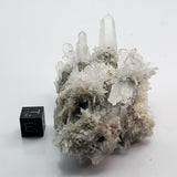SWJ0131 - Finest Grade Clear Quartz Crystal Cluster from classical Bulgarian location