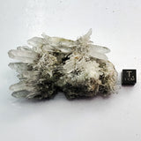 SWJ0131 - Finest Grade Clear Quartz Crystal Cluster from classical Bulgarian location