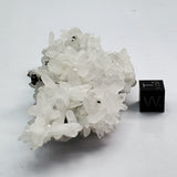 SWJ0132 - Finest Grade Clear Quartz Crystal Cluster from classical Bulgarian location