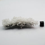 SWJ0132 - Finest Grade Clear Quartz Crystal Cluster from classical Bulgarian location