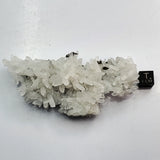 SWJ0132 - Finest Grade Clear Quartz Crystal Cluster from classical Bulgarian location