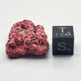 SWJ0099 - Astonishing Magenta Erythrite from Mount Cobalt Mine, Queensland, Australia