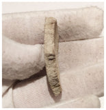 13010 - Exceedingly Rare Saltasaurus Titanosaur Egg Shell - Late Cretaceous