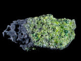 ST90 - Rare Natural Peridot (Chrysolite) Crystals Specimen On Volcanic Rock