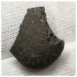 13021 P15 - New "NWA 14740" (Provisional) Carbonaceous Chondrite C3 Ung Meteorite 2.68g