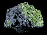 ST90 - Rare Natural Peridot (Chrysolite) Crystals Specimen On Volcanic Rock