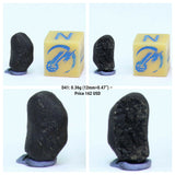 Thierry Monter Order - NWA 13258, TARDA & NWA Iron Blue Crusted