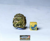 Laurent Lode Order - Lot of Fossils & Meteorites