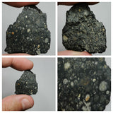Laurent Lode Order - Lot of Fossils & Meteorites