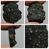 Laurent Lode Order - Lot of Fossils & Meteorites