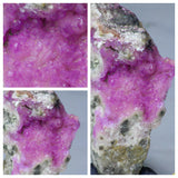 Laurent Lode Order - Lot of Fossils & Meteorites