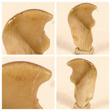 Laurent Lode Order - Lot of Fossils & Meteorites