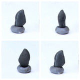 Tarda Carbonaceous Chondrire C2 Ungrouped. Mazur Order.