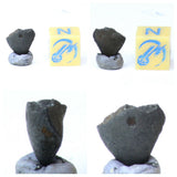 Tarda Carbonaceous Chondrire C2 Ungrouped. Topher Order.