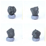 Tarda Carbonaceous Chondrire C2 Ungrouped. István Order.