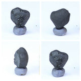 Tarda Carbonaceous Chondrire C2 Ungrouped. Matthew Order.