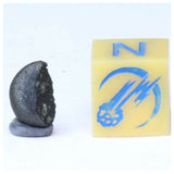 Tarda Carbonaceous Chondrire C2 Ungrouped. Matthew Order.