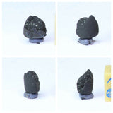 Tarda Carbonaceous Chondrire C2 Ungrouped. Kyle Order.