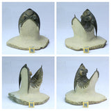 R225 Ceratarges + R237 Zlichovaspis Devonian Trilobites - Angne Order