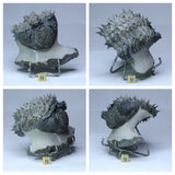 Tadashi Order - R229, R230 & R231 Drotops, Walliserops + Zlichovaspis Trilobites