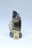 R210, R211, R214 - Great Rare Black Carcharodontosaurus Cretaceous Dinosaur Teeth - Bryan Order